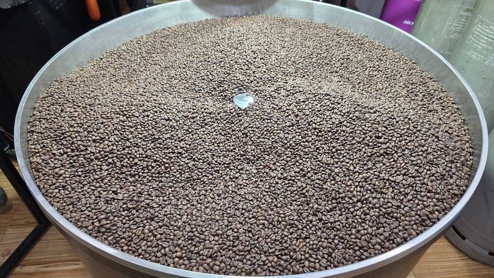 Cà phê vừa rang xong trong khay làm nguội